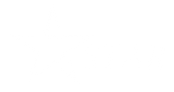 Star Printing - Home